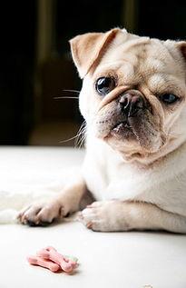 巴哥策划爆料视频